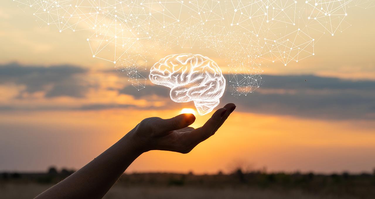 Curso Neurociencias y Salud Cerebral