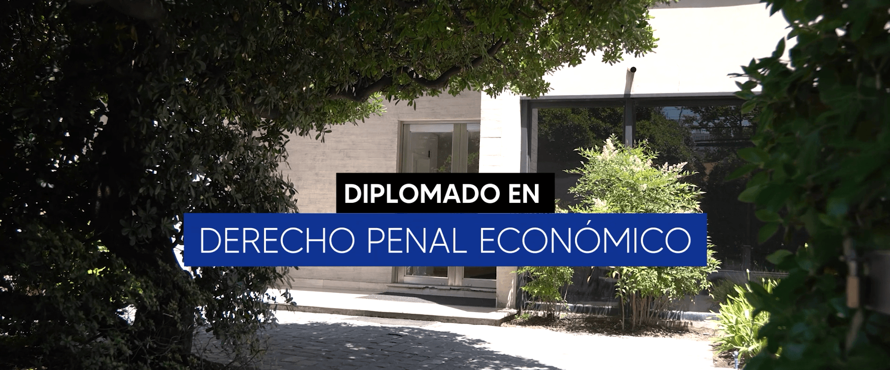 Diplomado en Derecho Penal Económico 2026