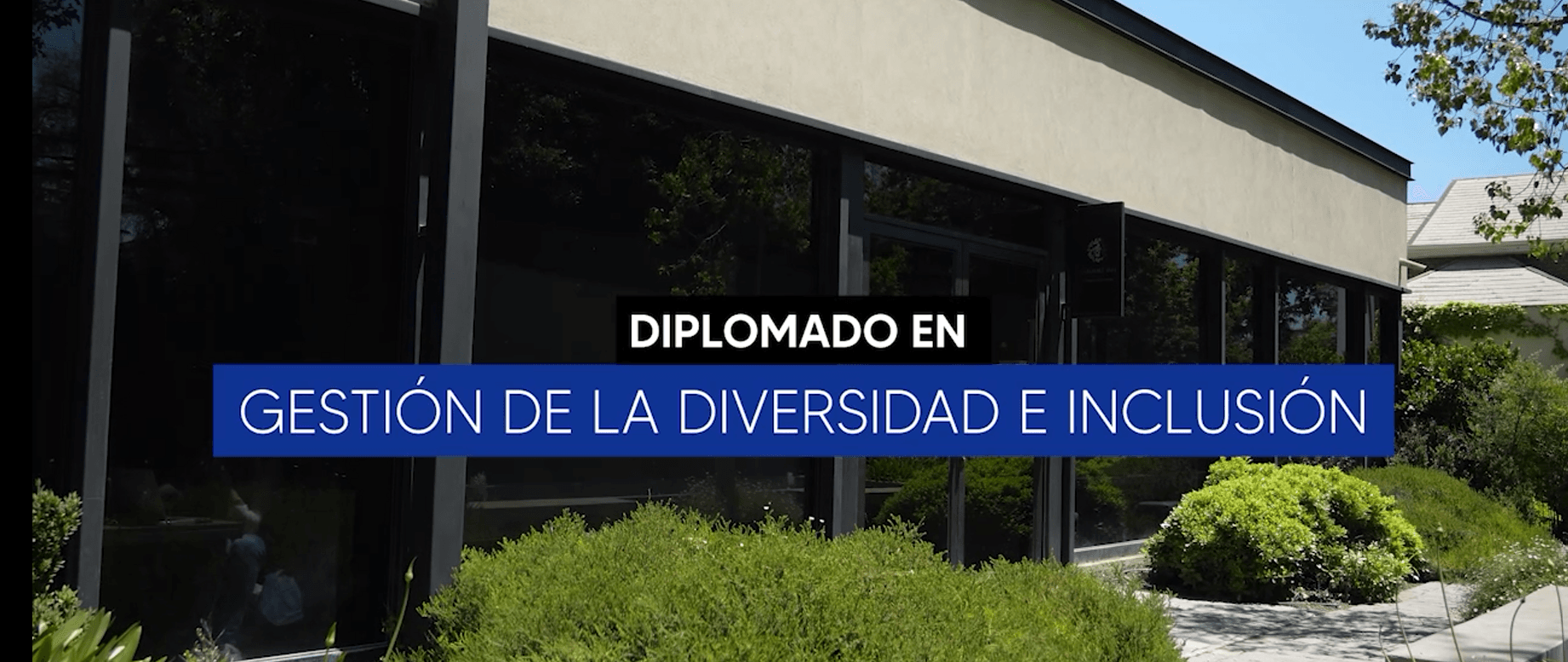 Diplomado en Gestión de la diversidad e inclusión 2026