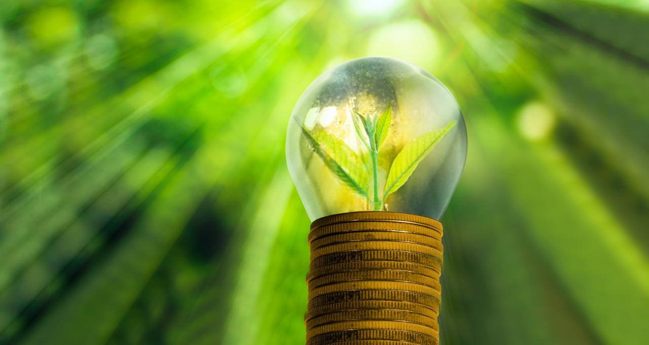 Diplomado en Gestión de Energías Renovables