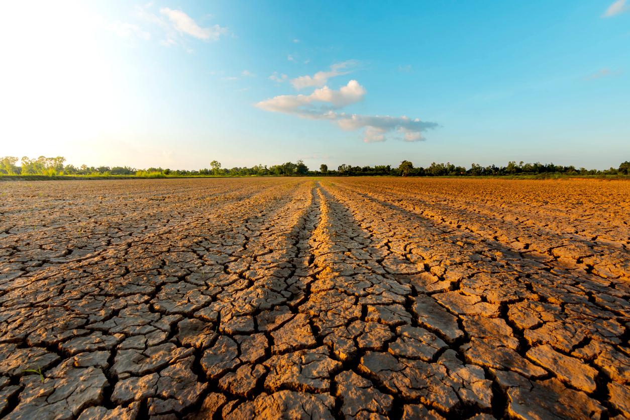 Diplomado en Hidrología e Impactos del Cambio Climático