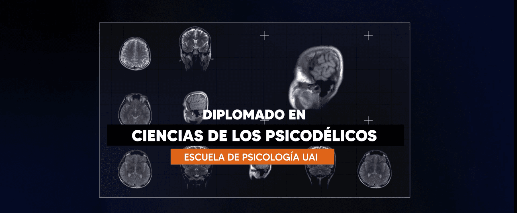 Diplomado en Ciencias de los Psicodélicos: Neurociencias, Terapia y Sociedad