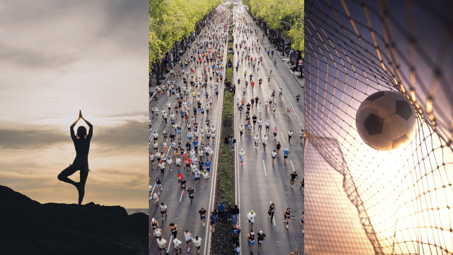 Certificado en Estrategia de Negocios en el Deporte y la Vida Saludable