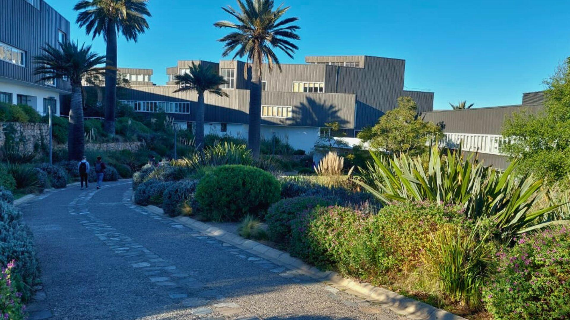 Concurso para Cargo de Académico/a Doctor en Psicología Clínica en el Campus Viña del Mar