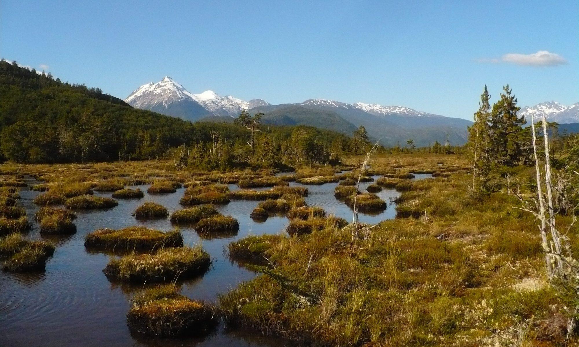 Imágenes satelitales para la preservación de la biodiversidad en Chile