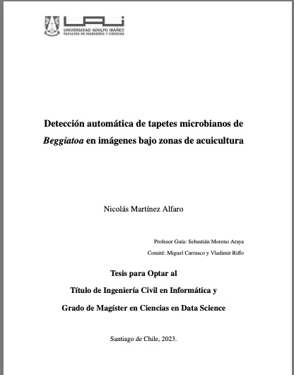 “Detección automática de tapetes microbianos de Beggiatoa en imágenes bajo zonas de acuicultura”