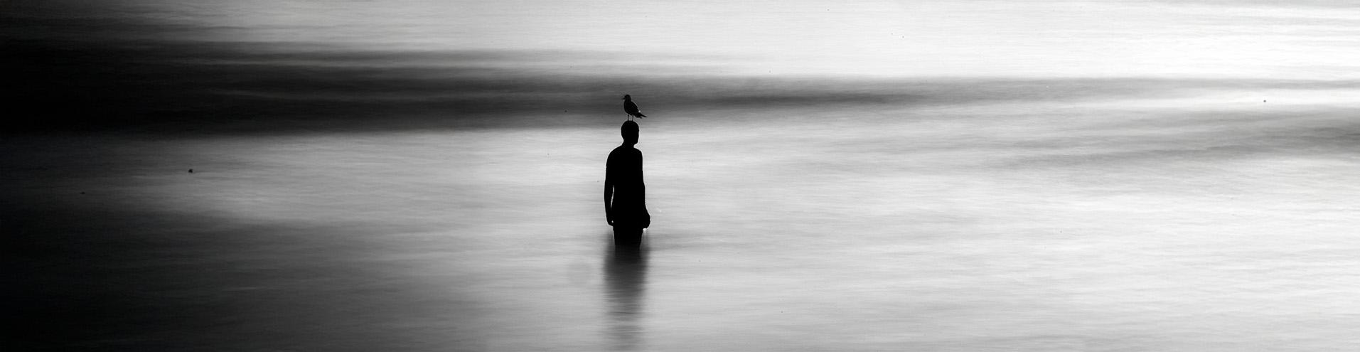 Diplomado en Filosofía Contemporánea