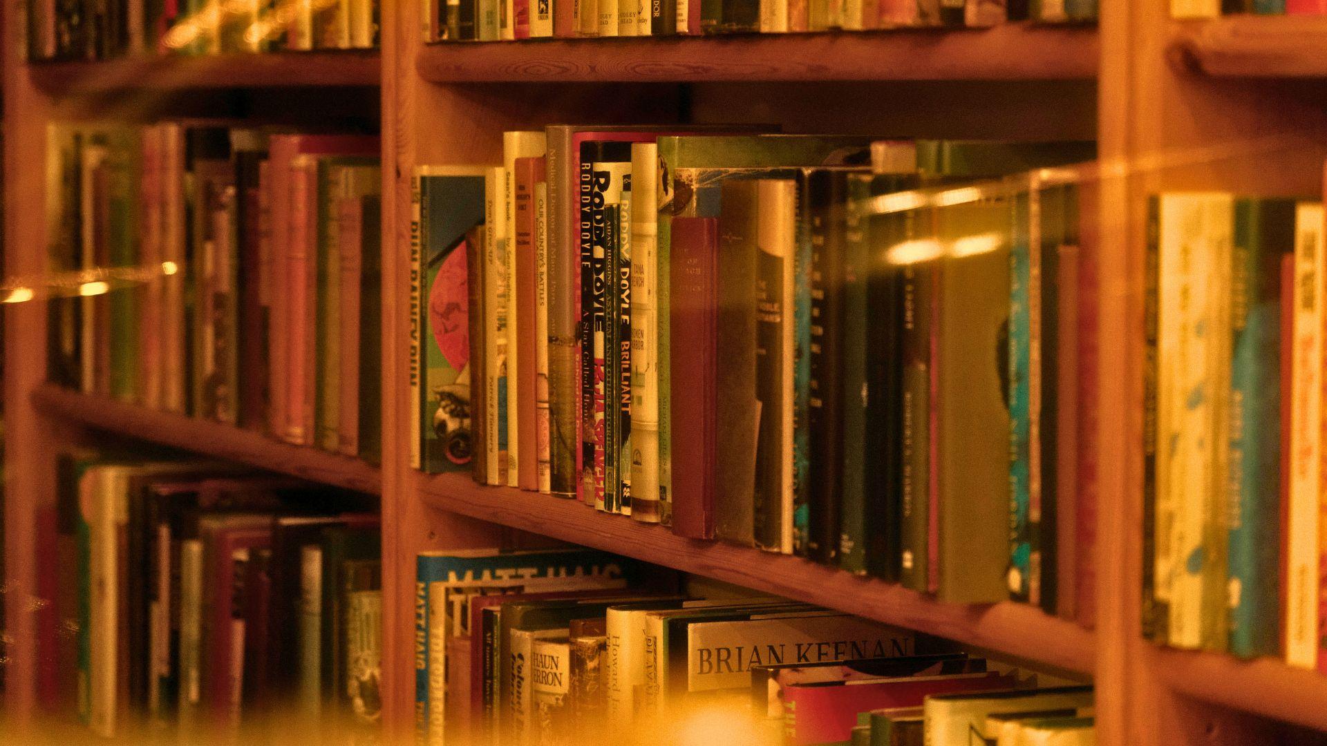 Abiertas las postulaciones a nueva versión del Diplomado en Cultura Escrita y Formación de Lectores