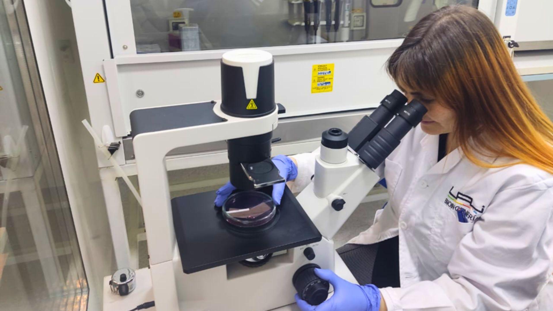 Del espacio al laboratorio: cómo los modelos celulares 3D pueden cambiar la medicina