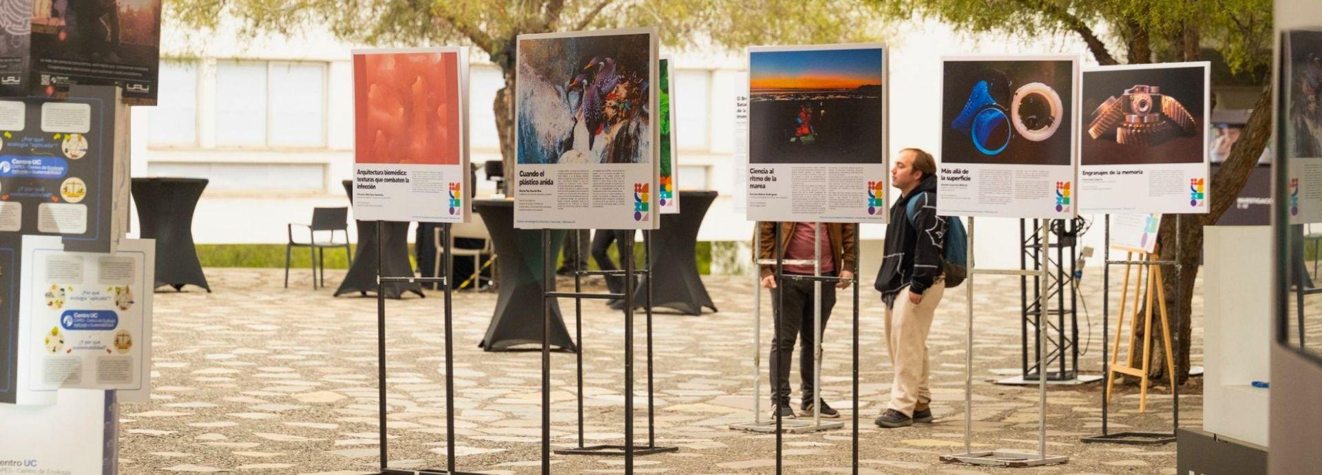 Concurso fotografía científica: Curiosidad en Foco