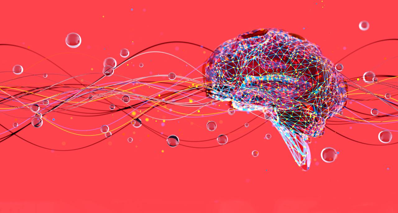 Curso Neurociencia Social: Comprendiendo el Comportamiento Humano - Online