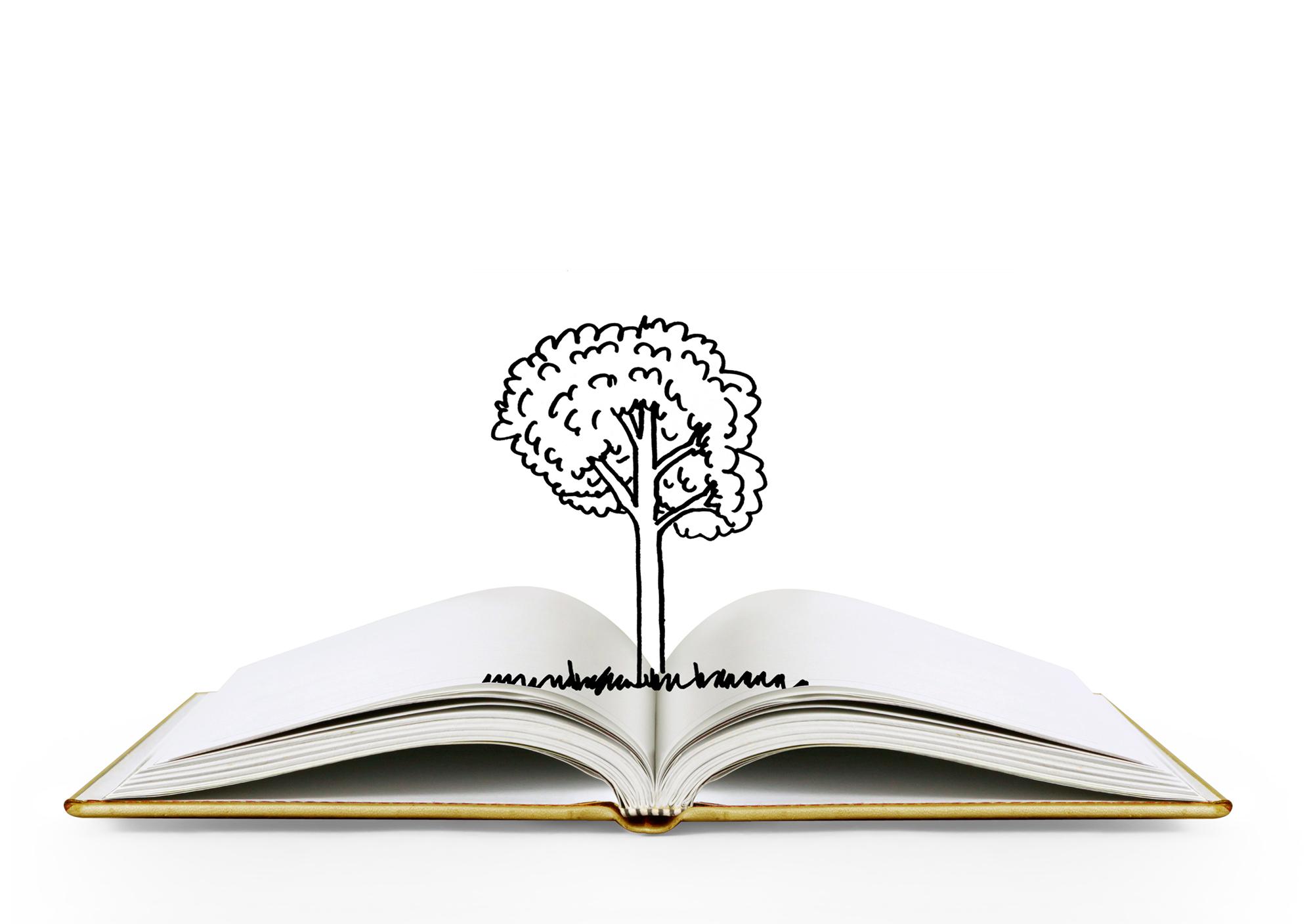 Diplomado en Escritura Creativa
