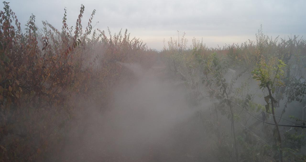 Imagen del proyecto Agromist
