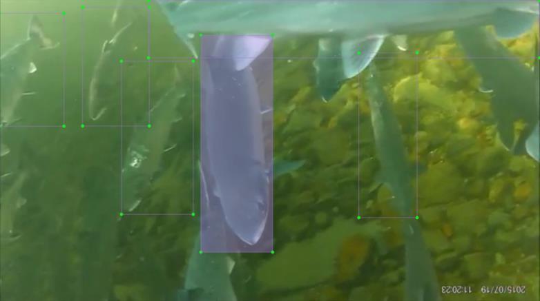 Imagen del proyecto Diseño de una metodología para la reconstrucción de entornos subacuáticos digitales