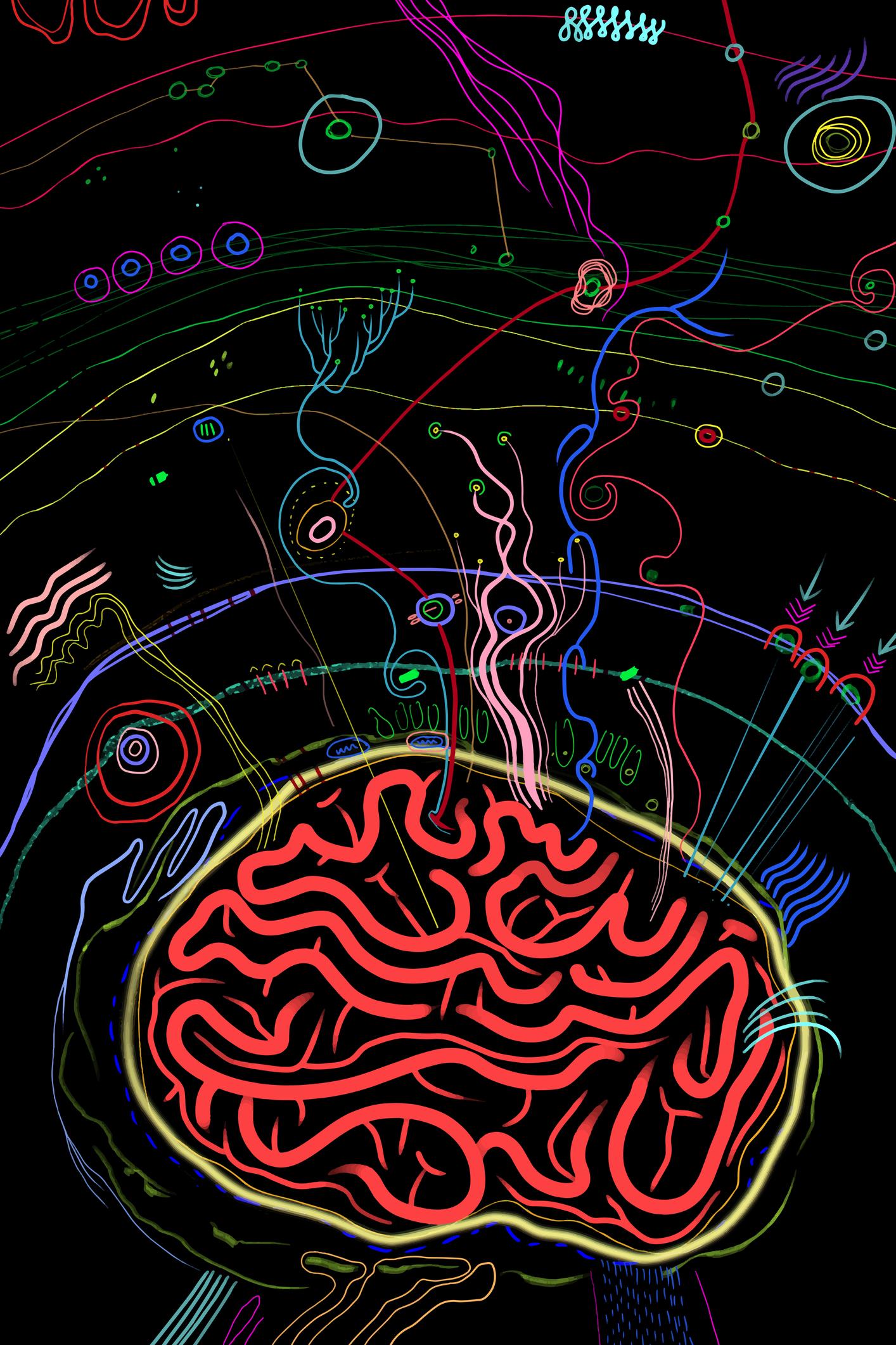 Diplomado en Ciencias de los Psicodélicos: Neurociencias, Terapia y Sociedad Diplomado en Ciencias de los Psicodélicos: Neurociencias, Terapia y Sociedad