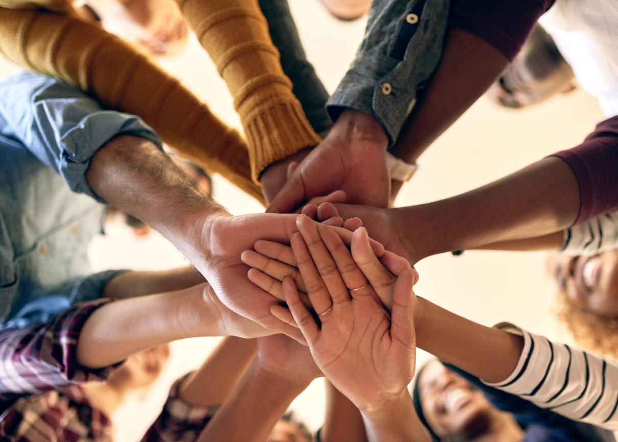 Curso Introducción a la Diversidad e Inclusión en las Organizaciones - Online Curso Introducción a la Diversidad e Inclusión en las Organizaciones - Online