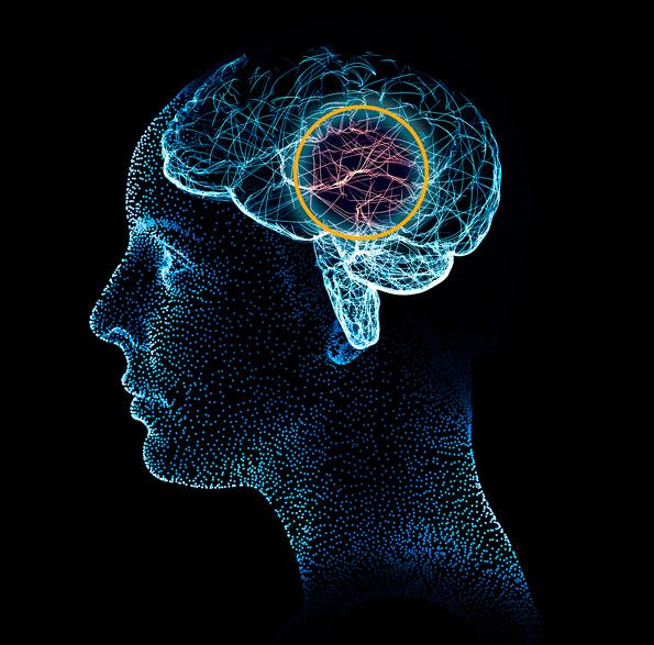 Diplomado Neurociencia Social y Cognitiva Aplicada Diplomado Neurociencia Social y Cognitiva Aplicada