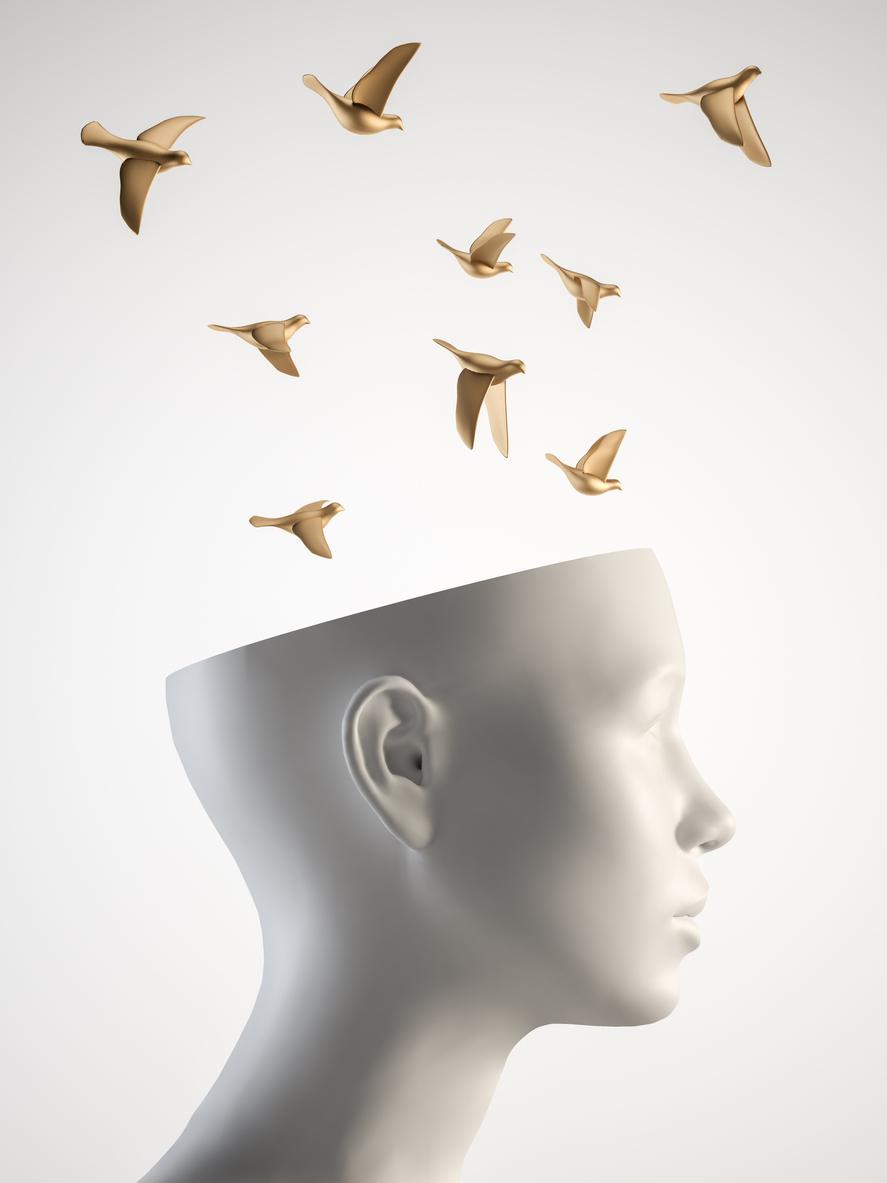 Diplomado en Liderazgo y Mindfulness Diplomado en Liderazgo y Mindfulness
