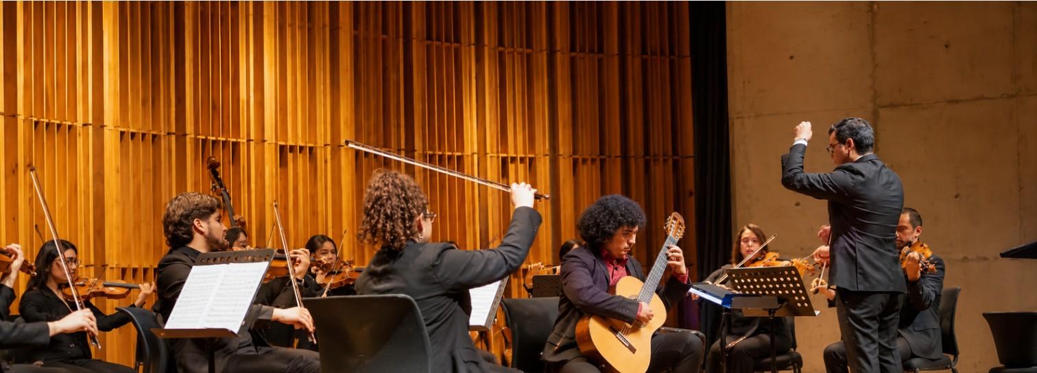 Concierto Camerata de Cuerdas - Octubre 2026