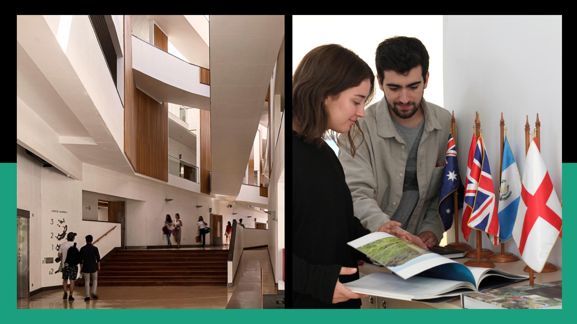International Management English Test - Online